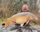 Carp Images