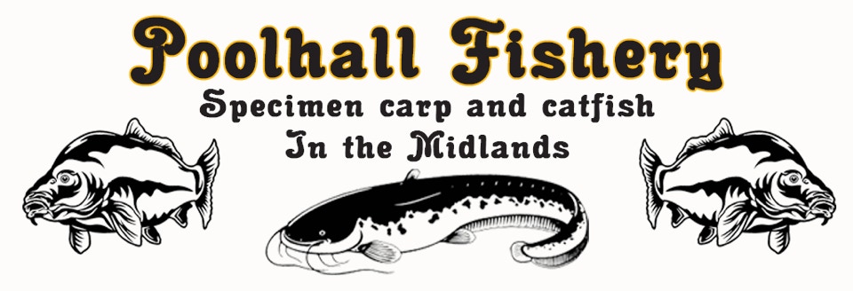 poolhall banner